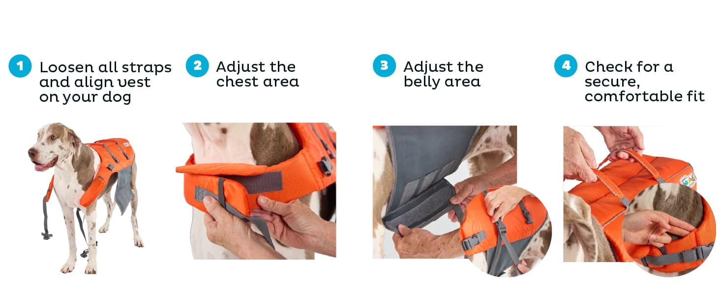 Granby Splash Dog Life Jacket — collection imagery