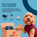 Dog Surgery Recovery Suit — Male Female After Spay Neuter Onesie