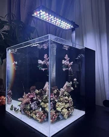 Protein Skimmers for Saltwater Aquariums — collection imagery