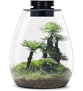 Aquarium and Terrarium Light Full Spectrum LED — collection imagery