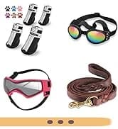 Dog Sunglasses Dog Goggles for Medium and Large Breed Dogs Eye Protection — collection imagery