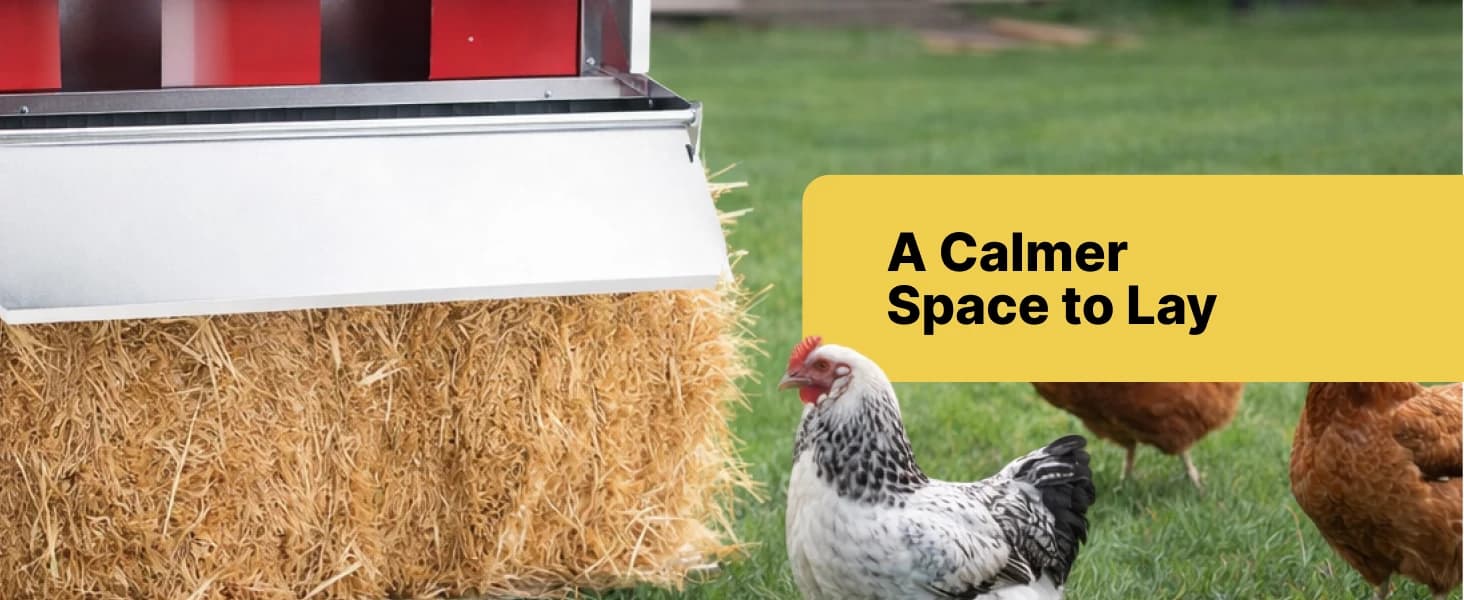 Nesting Boxes for Chickens — Roll Away Laying Boxes — product details