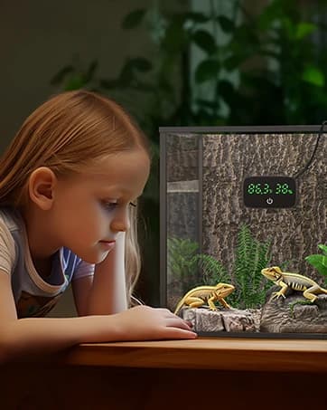 Real-time Display LED Digital Reptile Thermometer and Humidity Gauge — collection imagery