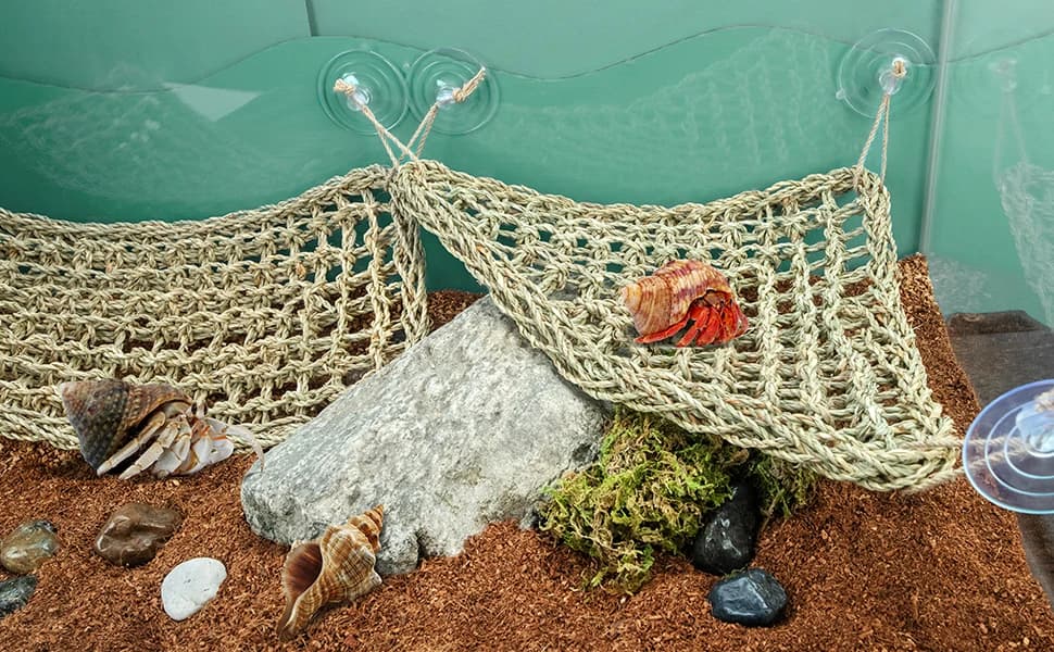 Bearded Dragon Seagrass Hammock — product details