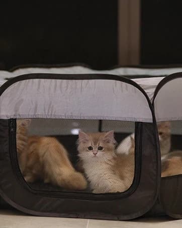 Small Animal Playpen — Waterproof Foldable Pet Playpen — collection imagery