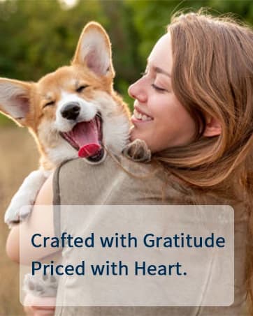2 Packs Car Door Protector for Dogs — collection imagery
