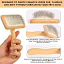 Slicker Brush for Dogs and Cats