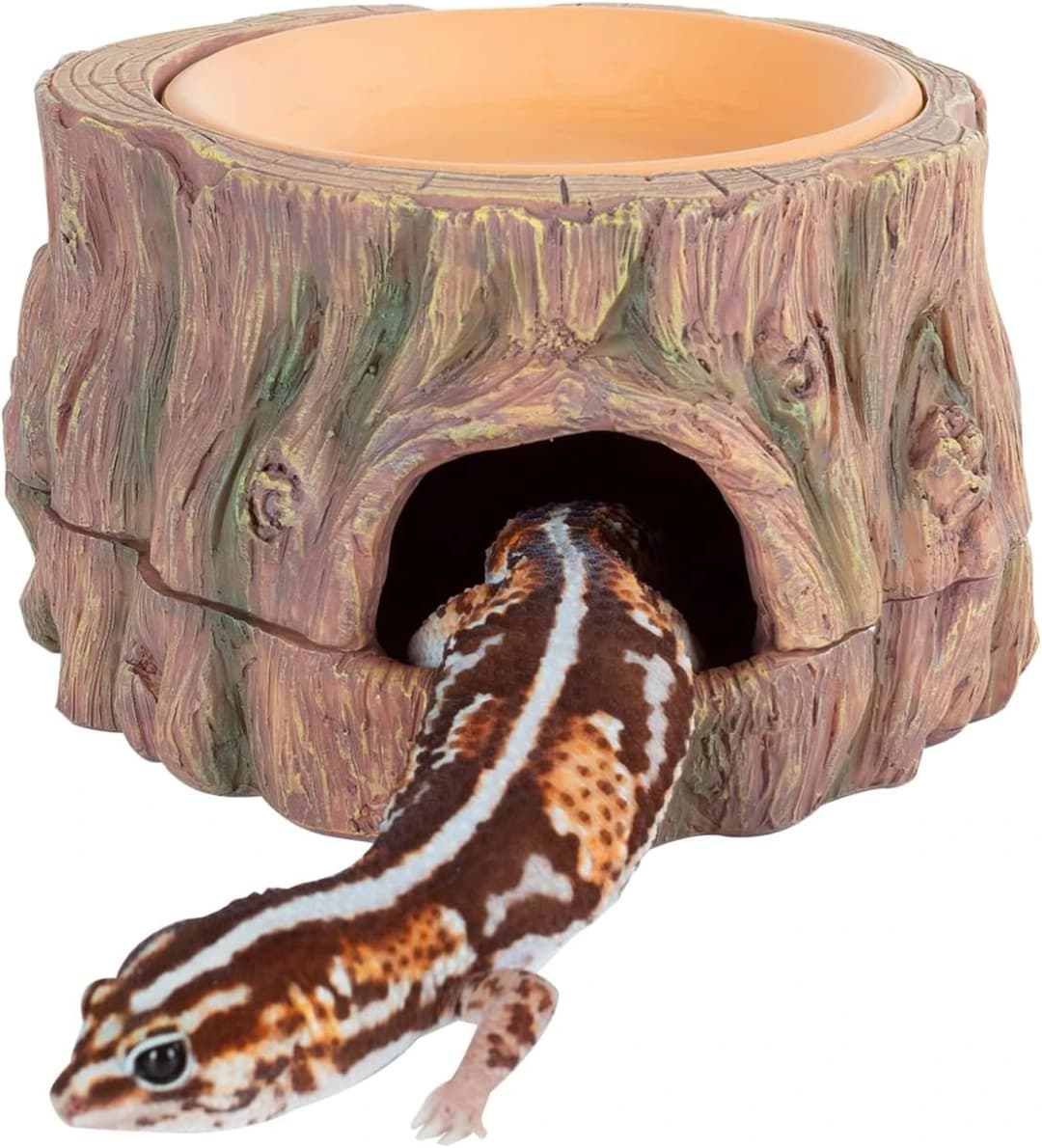 3 in 1 Reptile Hide Cave with Detachable Base and Humidity Dish