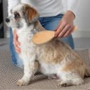 Stainless Steel Pin Dog Brush