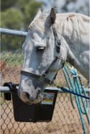 Plastic Hook Over Feeder | Mountable Livestock and Pet Feed Bucket | Horse Feed Bucket | Made in USA | 15 Quarts