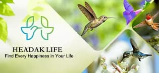 Charming Wind Chimes Hummingbird feeders for Outdoors Hanging ant and bee Proof — collection imagery