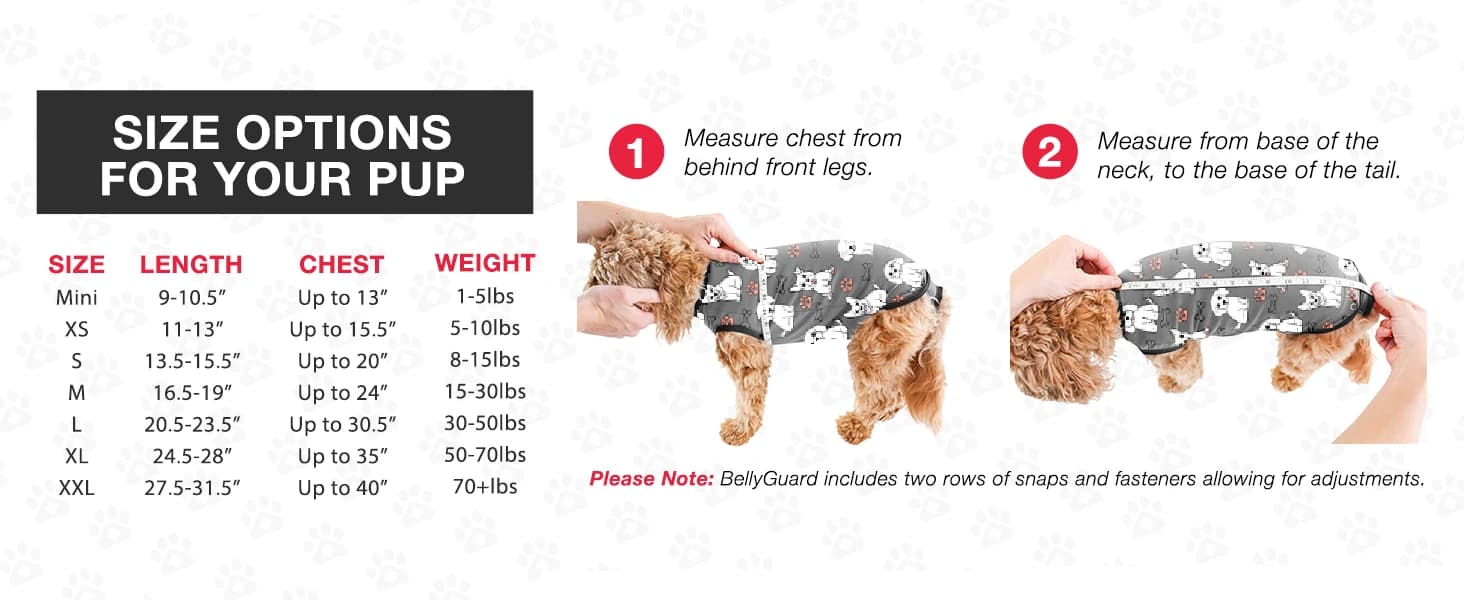 Dog Surgery Recovery Suit — Male Female After Spay Neuter Onesie — product details