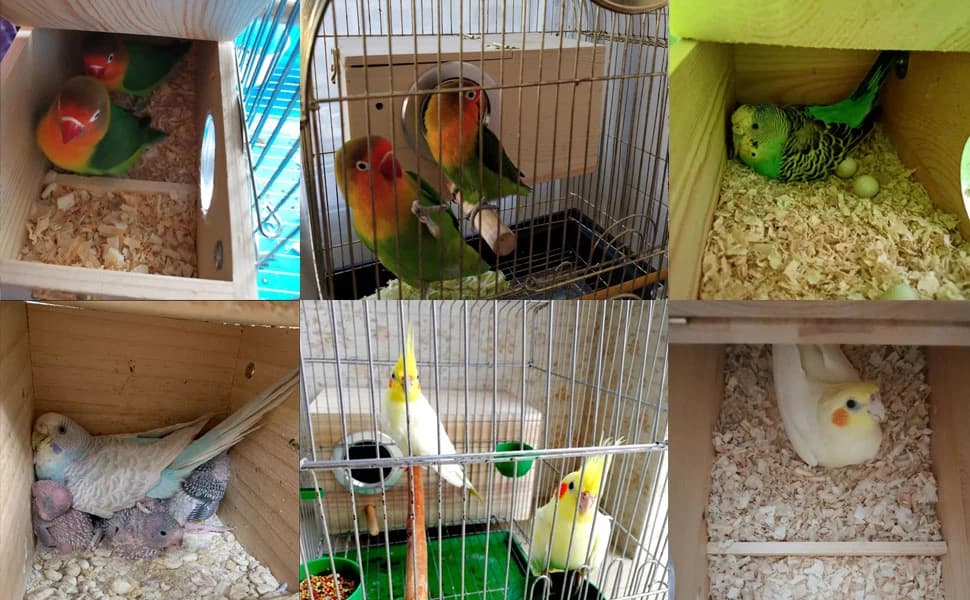 Parakeet Nesting Box — Wood Bird Nest House for Cage — product details