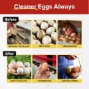 Nesting Boxes for Chickens — Roll Away Laying Boxes