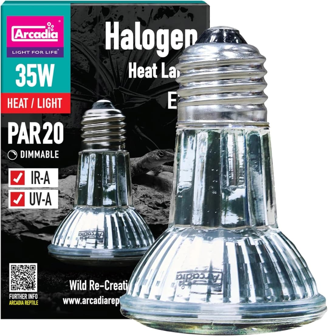 Halogen Heat Lamp 35W – Focused Beam Infrared and UVA Reptile Heat Lamp Bulb for Bearded Dragons
