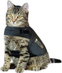 Classic Cat Anxiety Jacket — Heather Gray