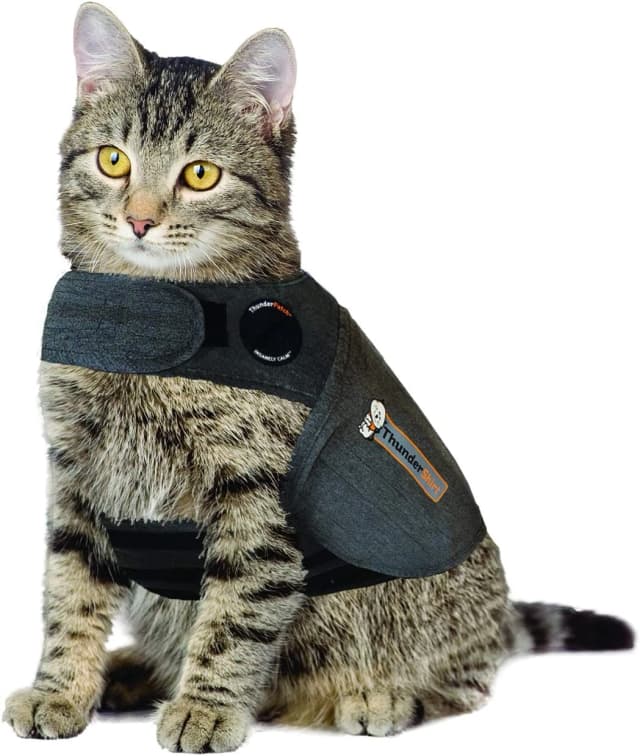 Classic Cat Anxiety Jacket — Heather Gray