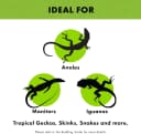 Reptile Terrarium Bedding Substrate Floor Liner