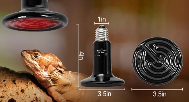 100W Reptile Heat Lamp 2Pack Ceramic Heat Emitter Night Heat Lamp Bulbs Reptile Terrarium Heat lamp Tank Heat — The Ultimate Heating Lamp for Your Terrarium
