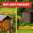 Double Suet Cake Feeder — Weather Guard