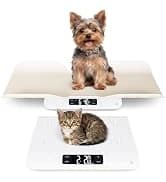 Wiggle-Proof Digital Pet Scale for Cats — collection imagery