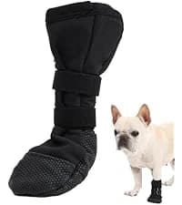 Dog Treat Pouch — Portable Puppy Dog Training Treat Bag — collection imagery