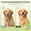 Hypoallergenic Pet Wipes for Dogs