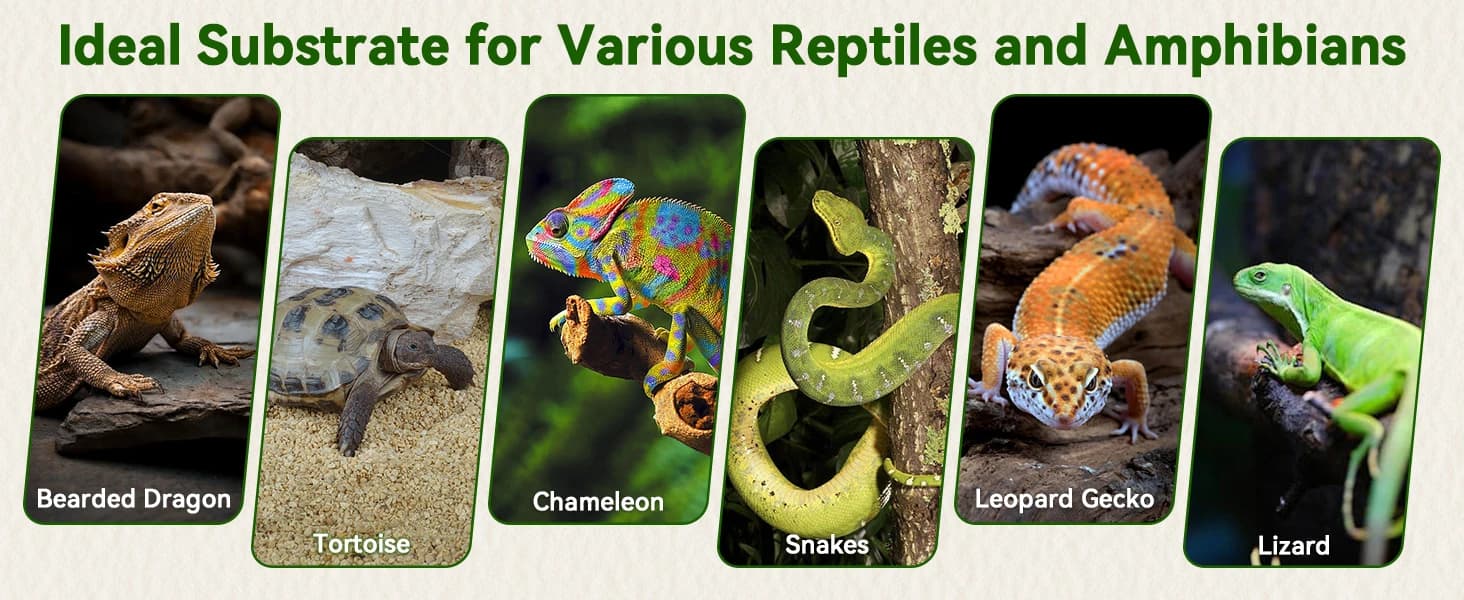 10 Pcs Reptile Carpet 12x12 Inch Coconut Fiber Mat for Tank Bedding โ product details