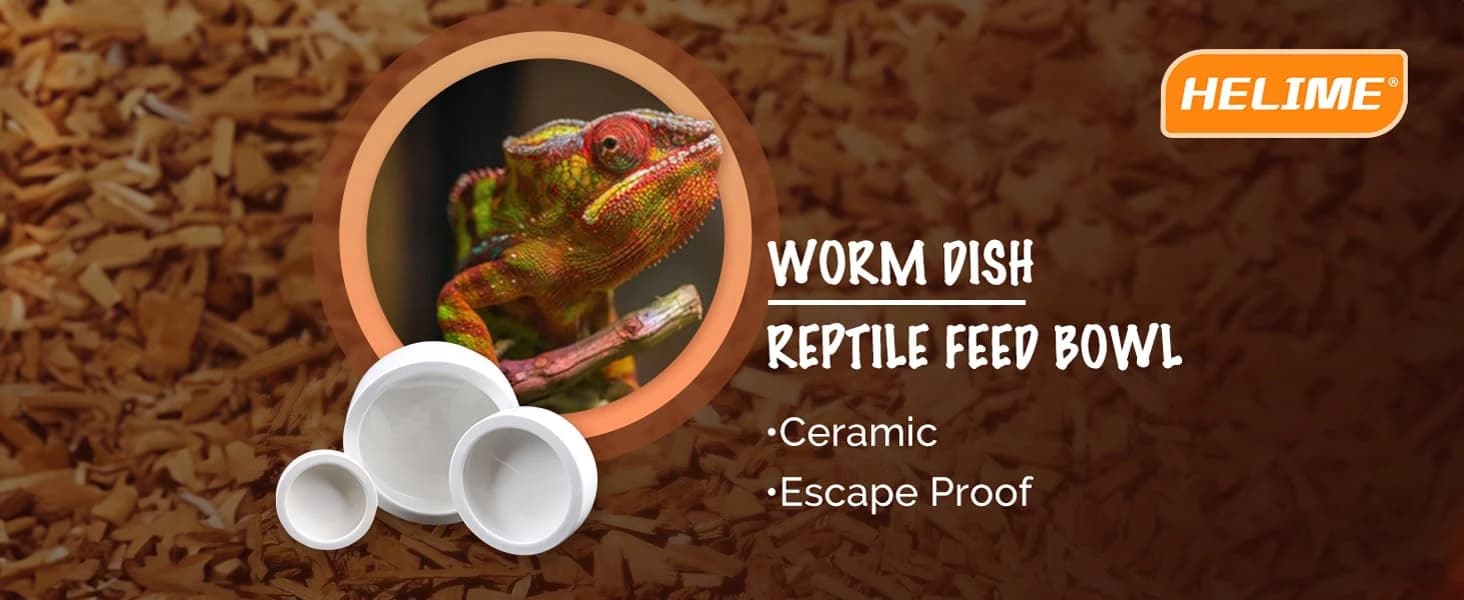 Reptile Food Dish Bowl — 2Pcs Lizard Gecko Worm Water Bowls Small (2.75in) — product details