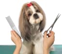 Dog Combs for Grooming — Metal Cat Comb for Long Haired