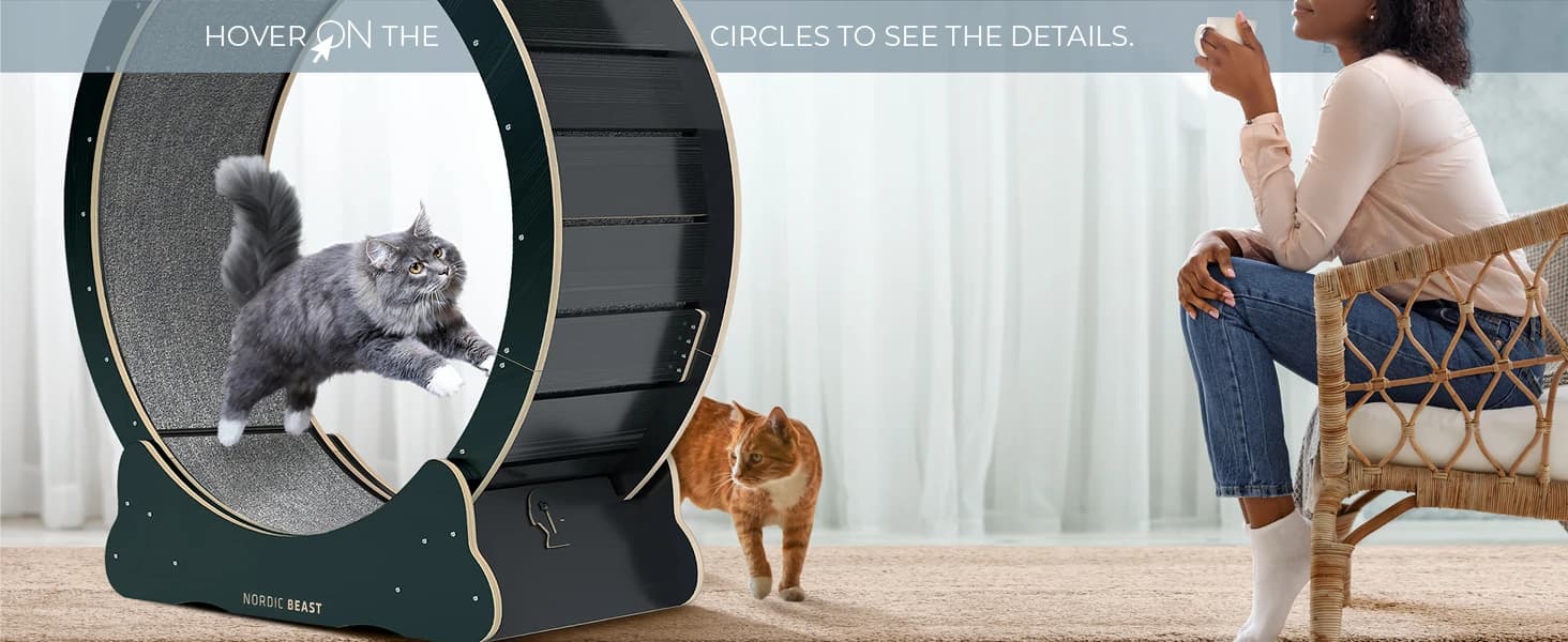 48'' XL Cat Wheel β Safe, Quiet and Stable Exercise Wheel for Large Indoor Cats up to 45 lbs β 15.7'' β product details