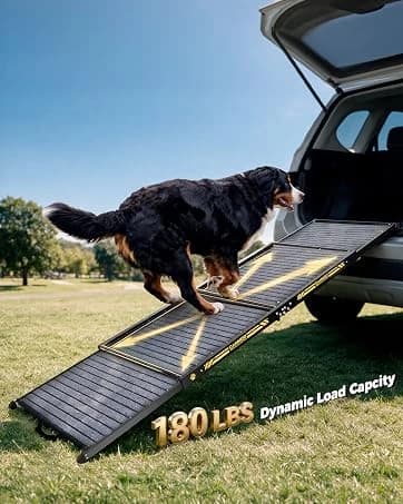 48'' Heavy Duty Dog Crates for Large Dogs — collection imagery