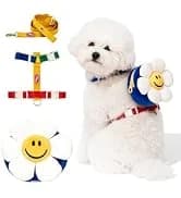 Professional Eye Comb for Pets — collection imagery