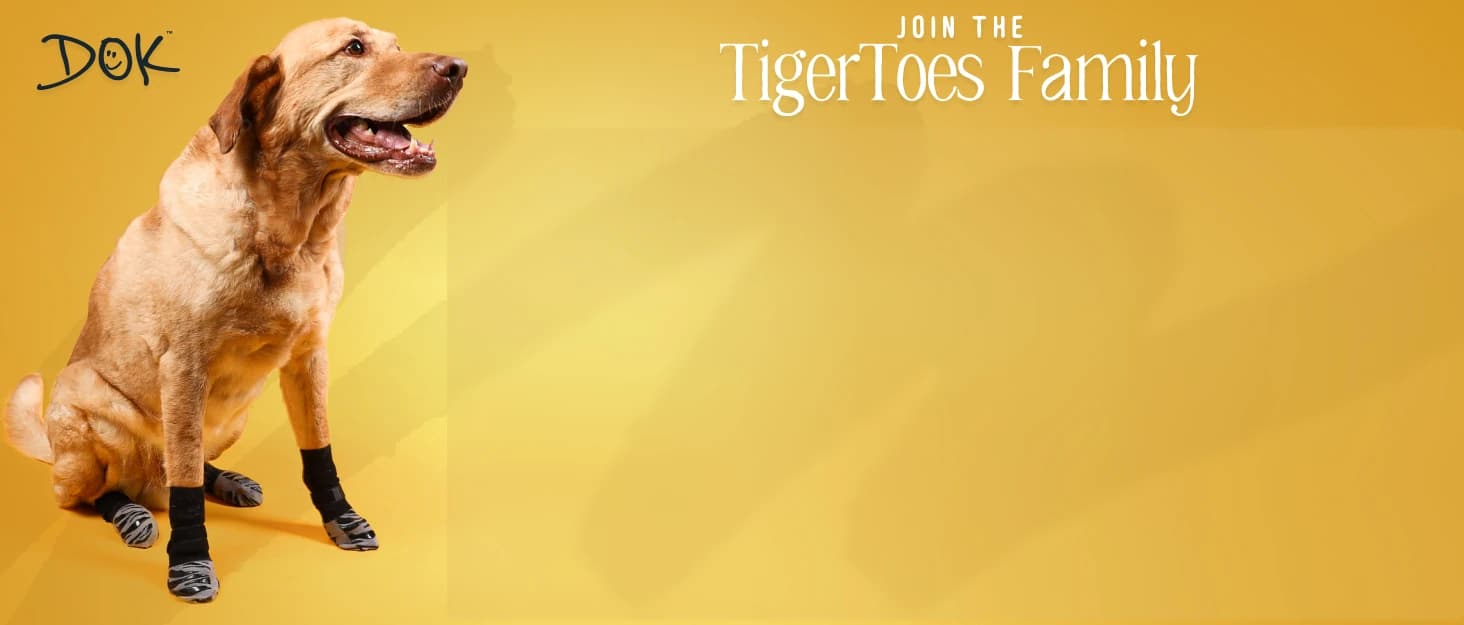 TigerToes Premium Non-Slip Dog Socks for Hardwood Floors - Extra-Thick Grip that Works Even When Twisted — collection imagery