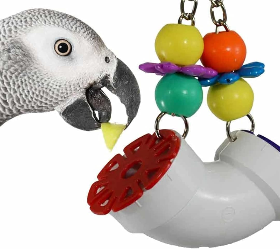 SB751 PVC Forager Bird Toy — Medium/Large Bird Size