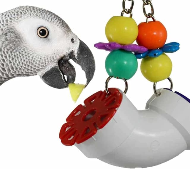 SB751 PVC Forager Bird Toy — Medium/Large Bird Size