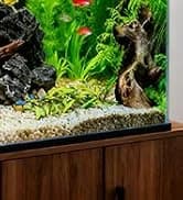Reptile Fogger Humidifier — Automatic Humidifiers for Reptiles Tank — collection imagery