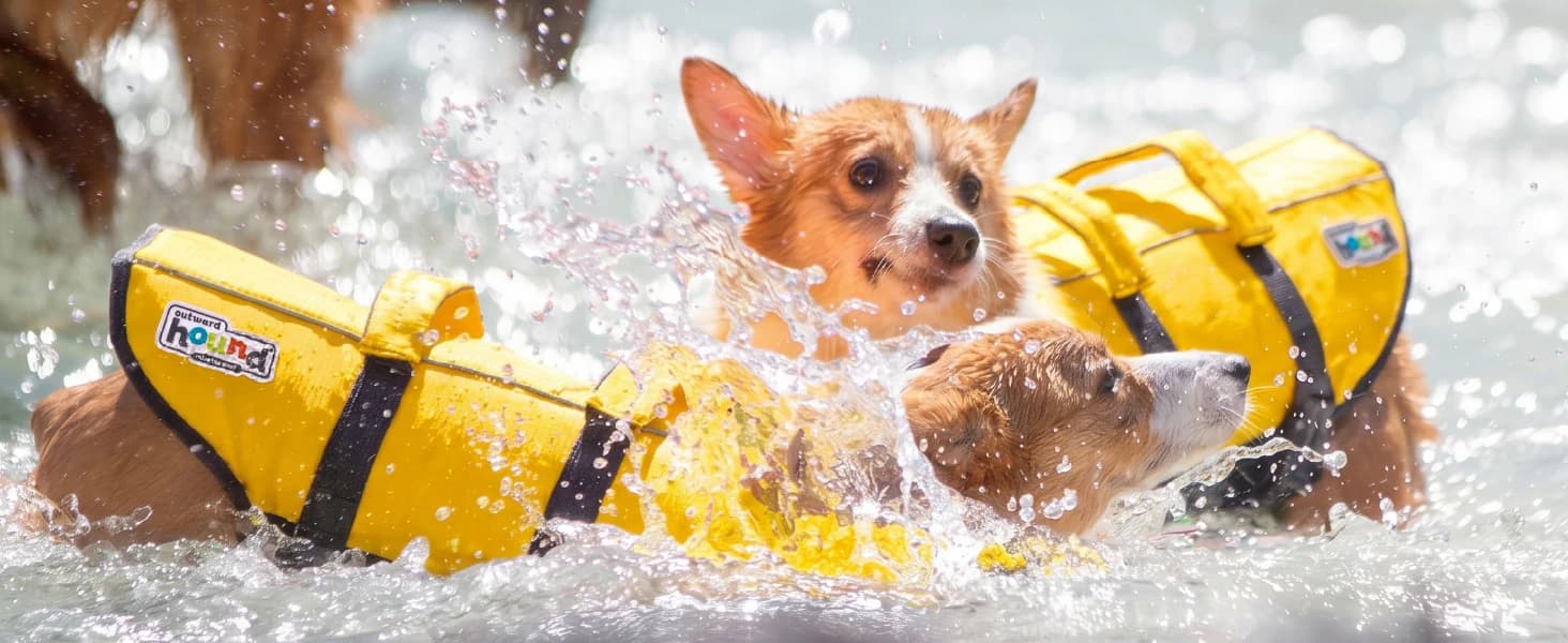 Granby Splash Dog Life Jacket — collection imagery