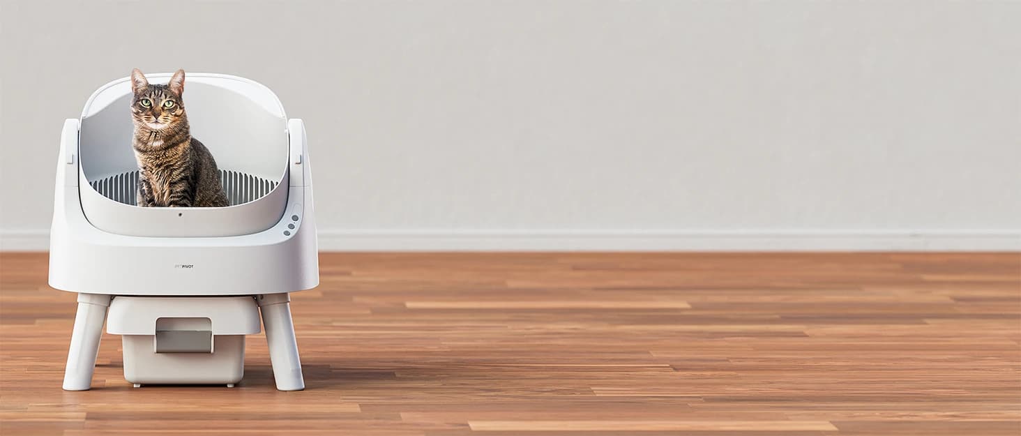Self Cleaning Litter Box — Open Top Automatic Litter Box for Multiple Cats — collection imagery