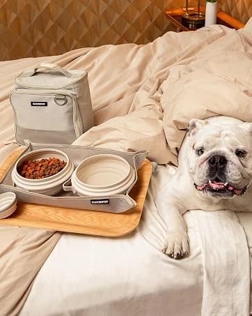 Snackpack Double Insulated Dog Treat Pouch – 1.5 Cup Capacity — collection imagery