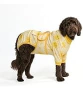 Dog Cooling Vest - Evaporative Summer Cooling — collection imagery