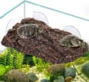 Turtle Basking Platform — Fish Tank Aquarium Tortoise Climbing Platform with 3 Suction Cups