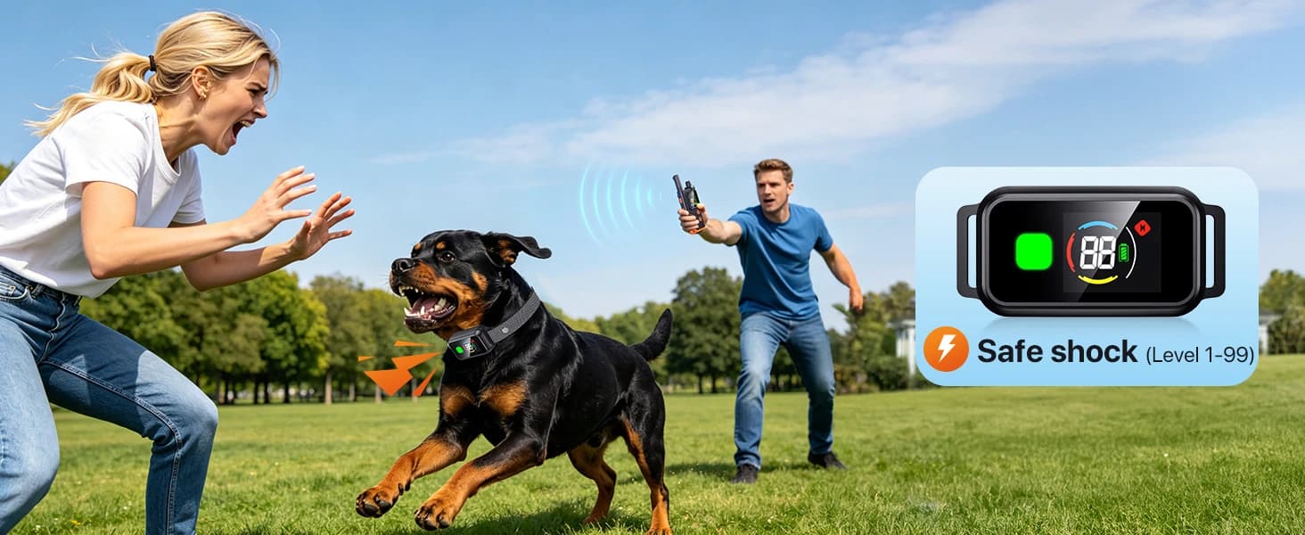 2 In1 Wireless Dog Collar Fence System and Training Collar — collection imagery