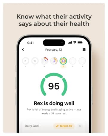 GPS Tracker for Dogs – Real-Time GPS Tracking and Escape Alerts — collection imagery