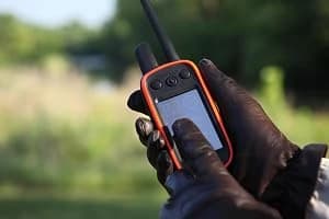 Alpha 100 Bundle — Includes Handheld and TT 15 Dog Device — collection imagery