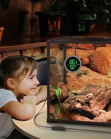 Real-time Display LED Digital Reptile Thermometer and Humidity Gauge — collection imagery