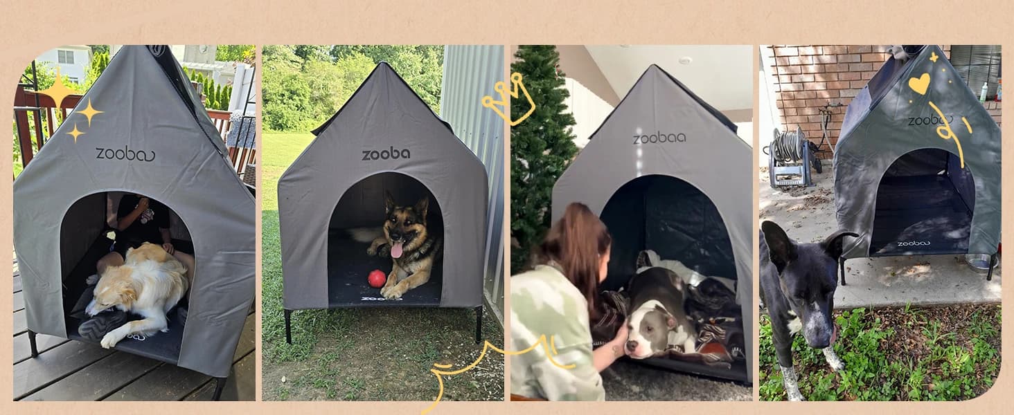 Large Dog House Outdoor — 36in Elevated 2-in-1 Cot and Canopy — collection imagery