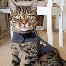 Classic Cat Anxiety Jacket — Heather Gray — Purr-fect for Vet Visits