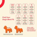 Dog Surgery Recovery Suit — Male Female After Spay Neuter Onesie