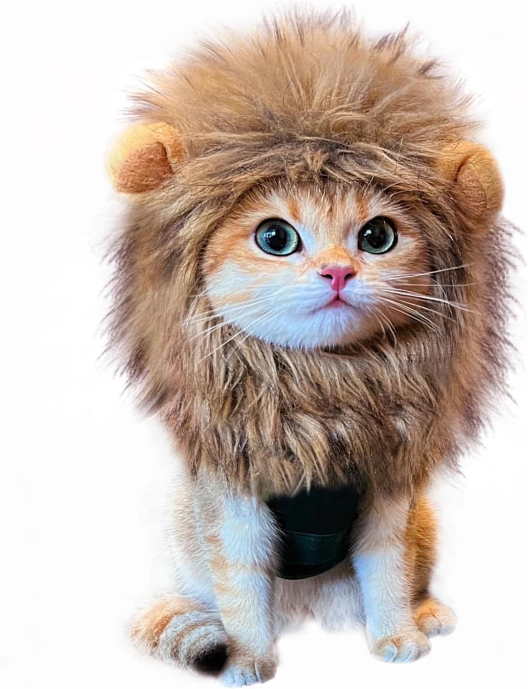 Lion Mane Wig for Cat Costume Pet Adjustable Washable Comfortable Fancy Lion Hair Cat Clothes Dress for